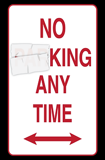 NO_KING_ANY_TIME.png