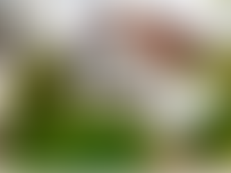 Frühjahr 2024, Obermetzgeranwesen, links davon das Mietshaus