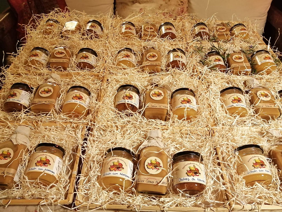 b51e1916-26df-4bab-ae17-e054d2c47e4e