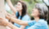 Women In North East Network