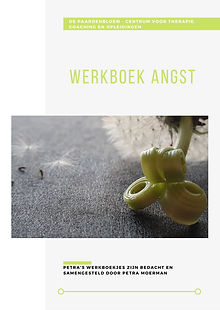 Werkboek Angst cover1.jpg