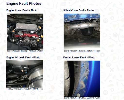 Pre purchase inspection details