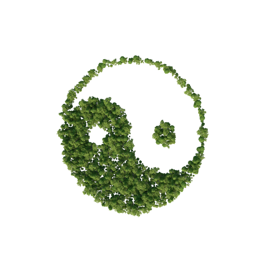 Untitled design-23 copy.png