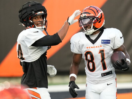 CFL Bengals Andrew Hawkins And Milt Stegall Enjoying Rise Of Dohnte Meyers