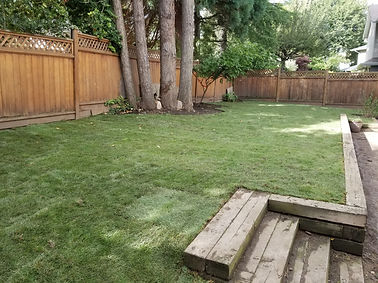 Shady backyard turf removal and installation of new turf