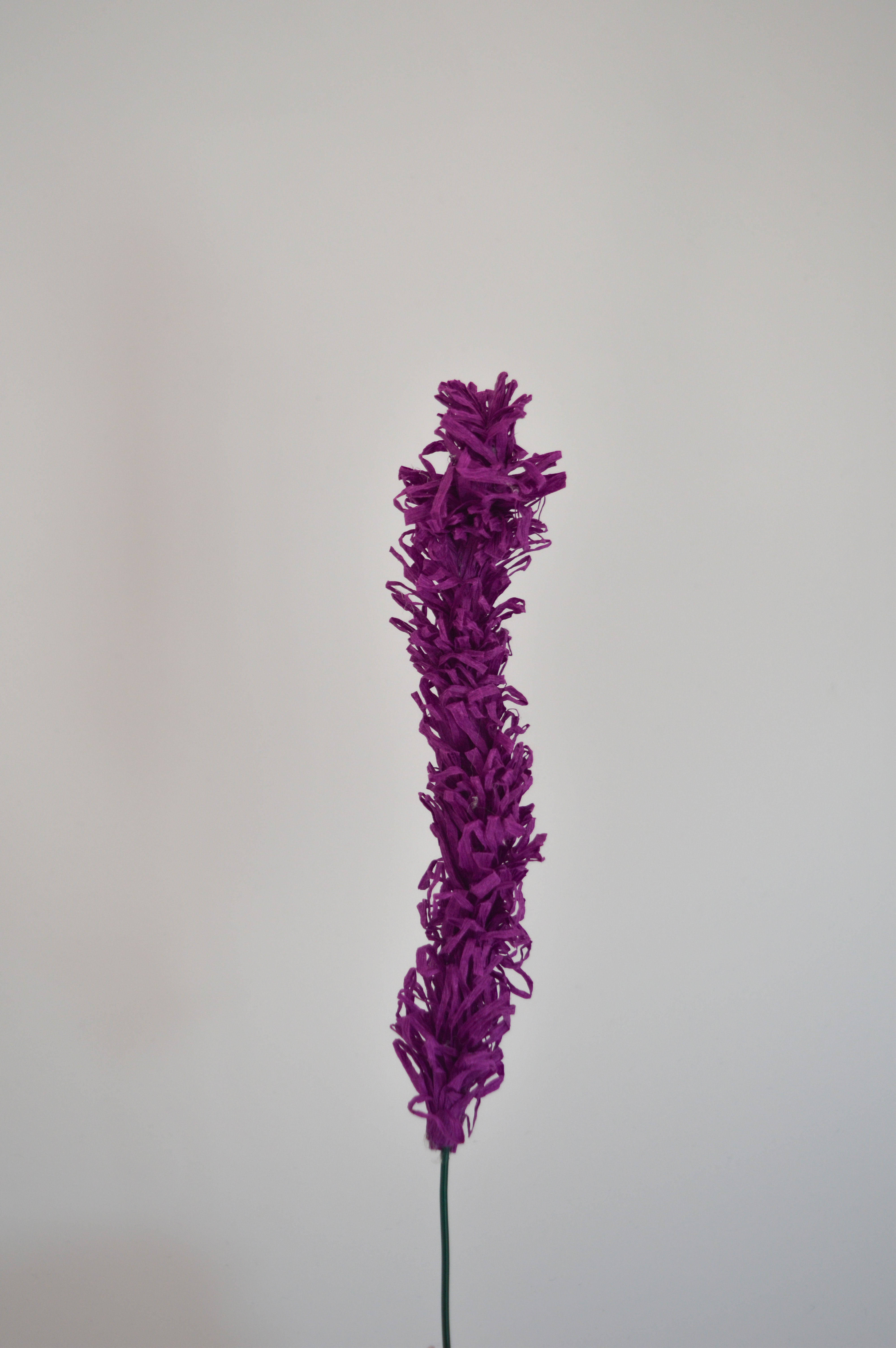 Complemento floral Lavanda