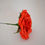 Miniatura: Flor Valentina