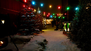 DSC09604.jpeg