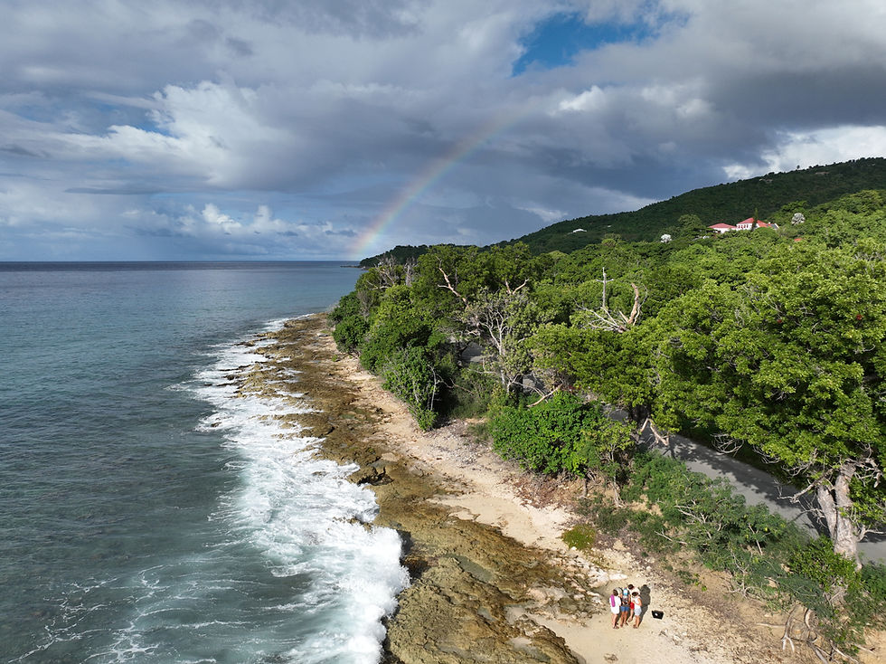 DJI_20240111160036_0346_V