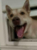 Hello Roscoe!