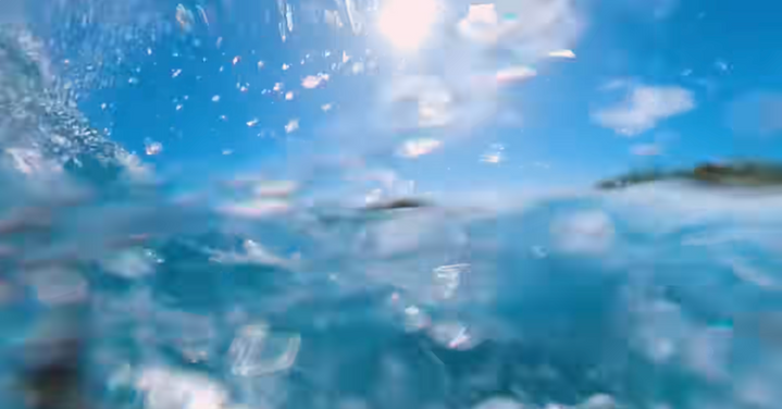 Skærmbillede 2025-07-12 kl. 12.24.04.png