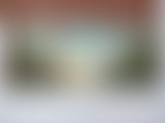 an ayahuasca journey