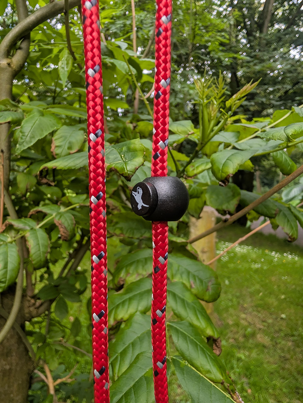 Thumbnail: Field Trial Pro Swivel Slip Lead