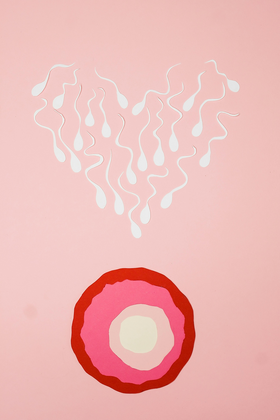 Fond rose avec cœur formés par plusieurs spermatozoïdes blanc au dessus d'un cercle concentrique rouge, rose et blanc représentant un ovocytes prêt à être fécondé comme lors d'une grossesse naturelle pour une personne atteinte d'insuffisance ovarienne prématurée.
