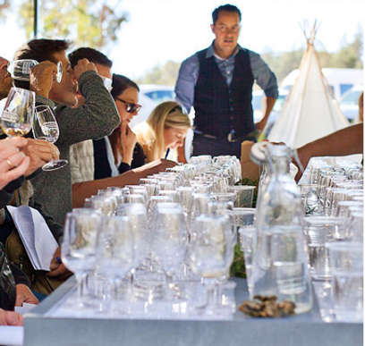 wine courses learning about wine