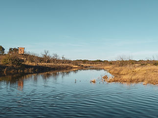 2018-12-12 16.52.41.jpg