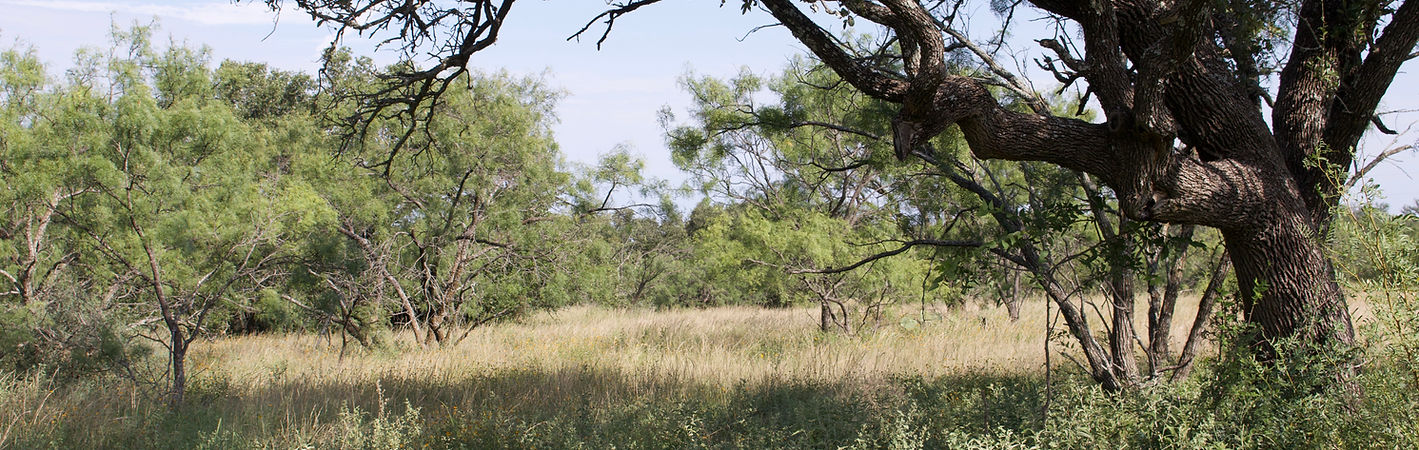 10.8 Acres: 55 Heritage Ranch