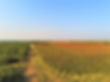 p1090110 (2).jpg