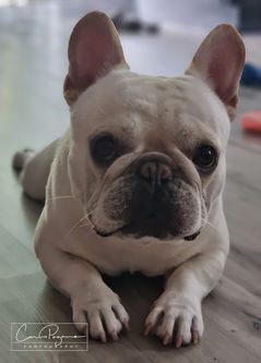 Cooper July 20.jpg