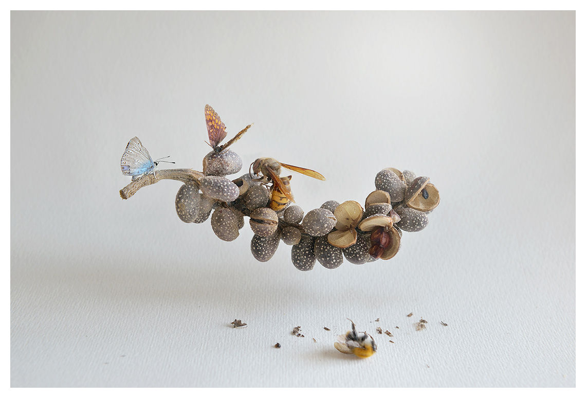 Romas Stakėnas, Nesvarumas 3, 2019