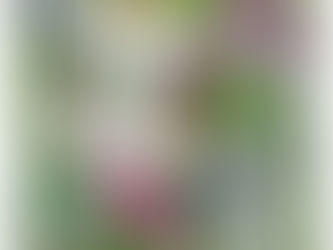 Vokietijoje gyvenanti Sigita Laubengaier kviečia į parodą„Susijungimai netyčia“