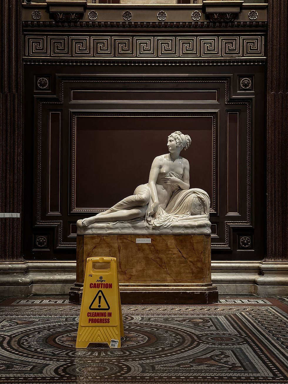 Ieva Gailė, Vyksta valymas, 2025