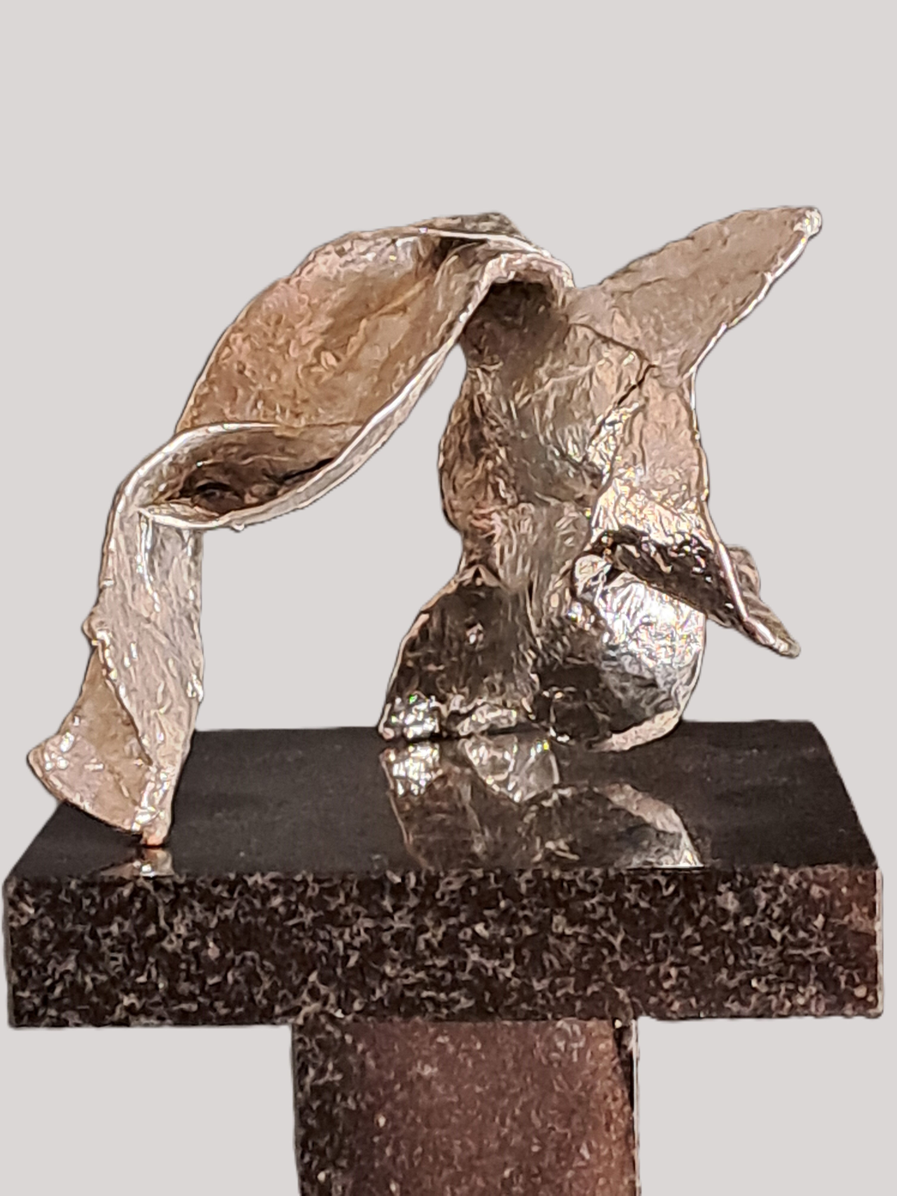 Gediminas Piekuras, Šaltas vanduo, 2024