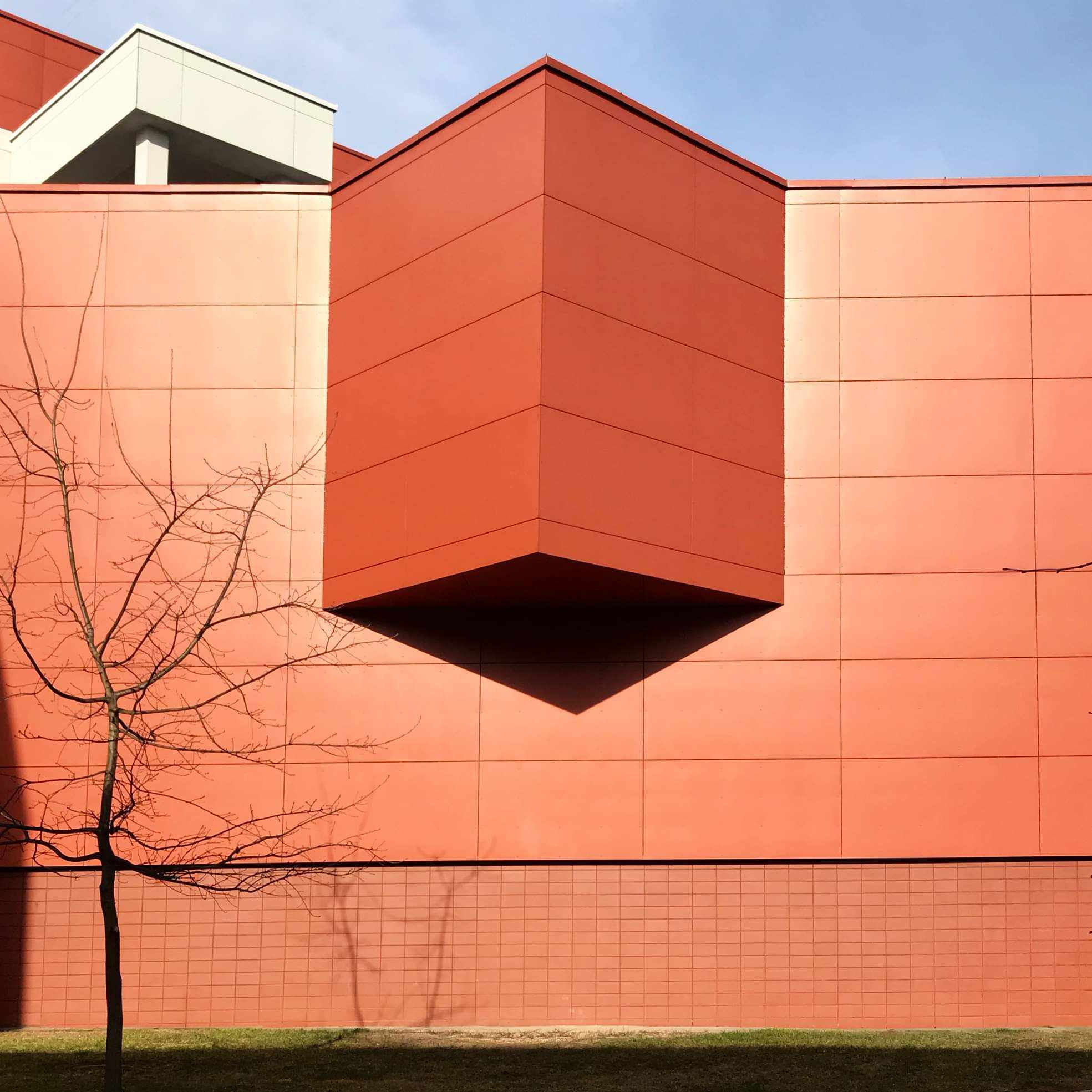 Virginijus Kinčinaitis, Forma, 2020