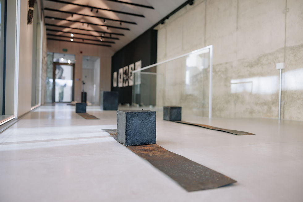 Ekskursija po Mamoru Abe parodą LOCUS