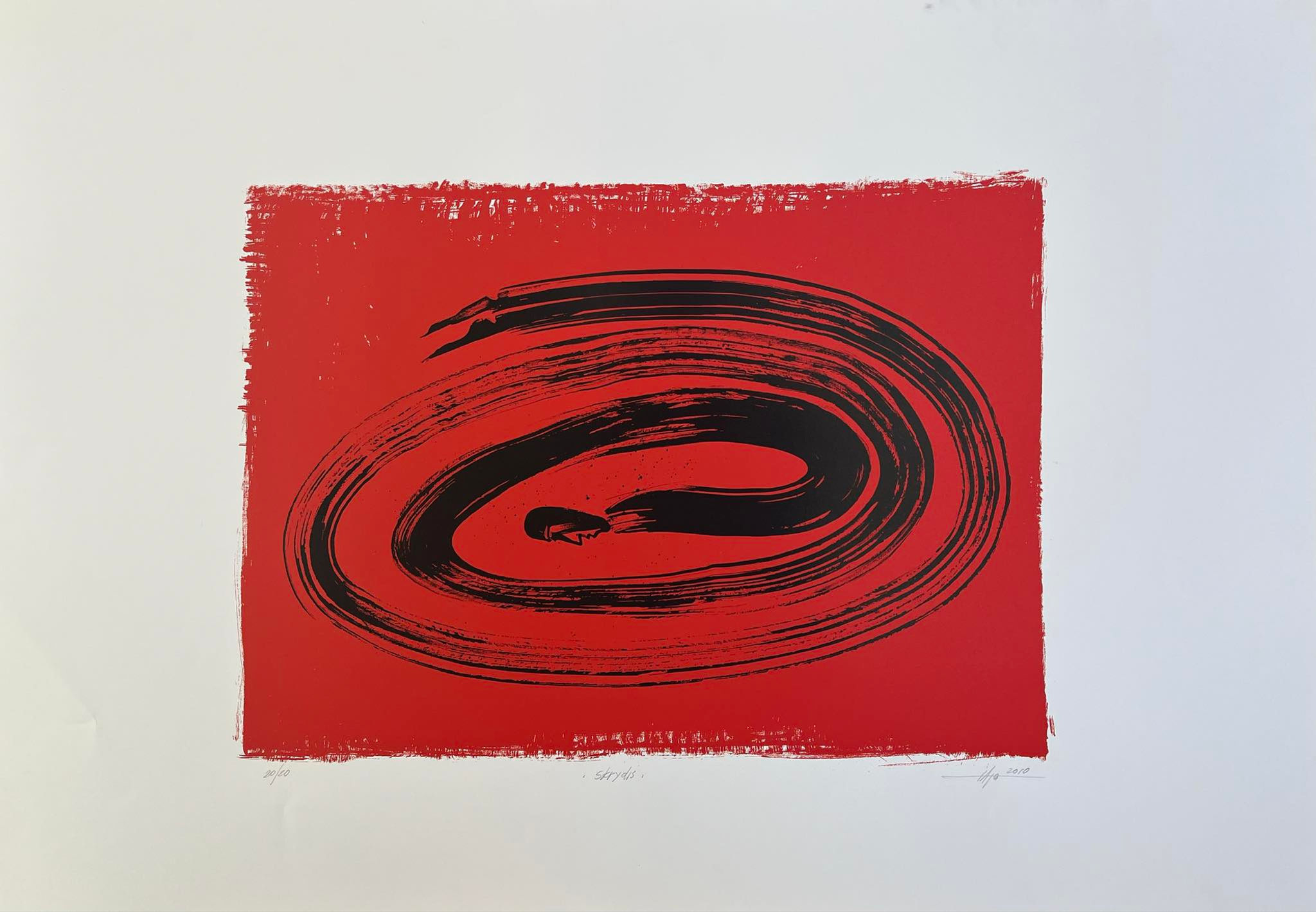 Valentinas Ajauskas, Skrydis, 2010