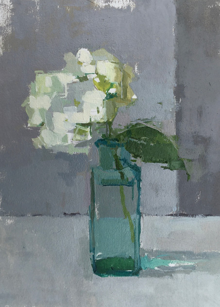Little White Hydrangea
