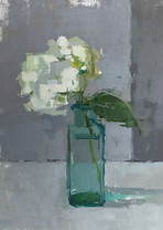 Little White Hydrangea