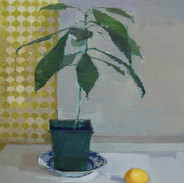 Vicki's Avocado