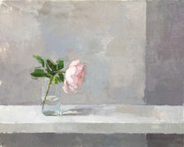 Garden Rose