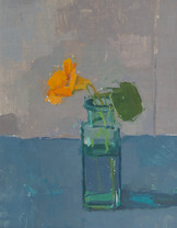 Orange Nasturtium