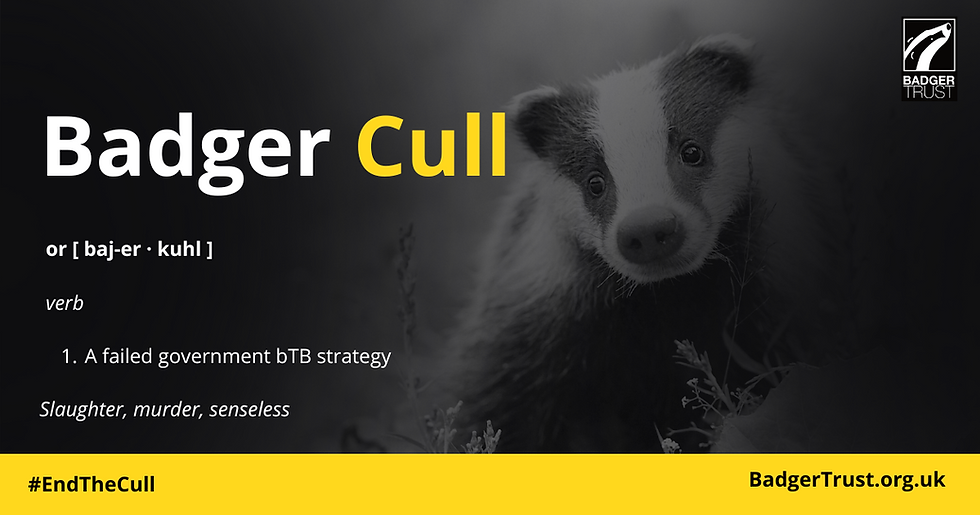 Badger image with text: "Badger Cull," defined as "A failed government bTB strategy." Hashtags and website link present. Mood: critical.