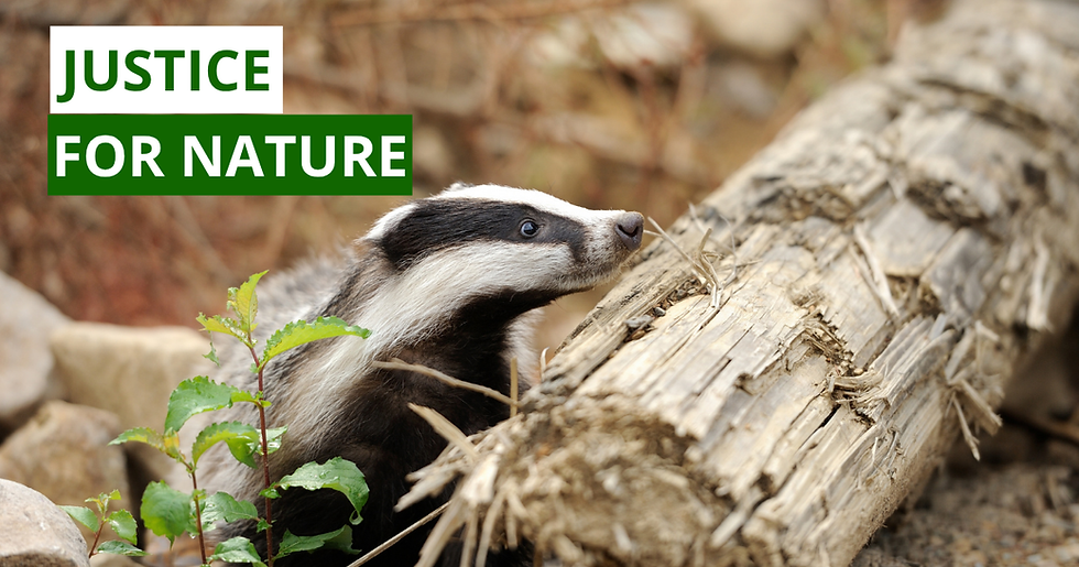 Badger beside a log in a natural setting with green leaves. Text reads "Justice for Nature" in bold green and white.