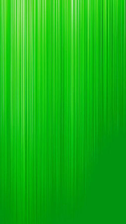 fondo savia