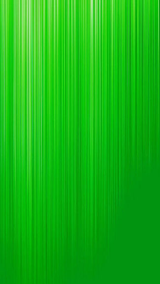 fondo savia