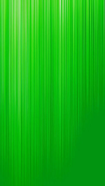 fondo savia