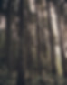 Environmental Responsibility 
