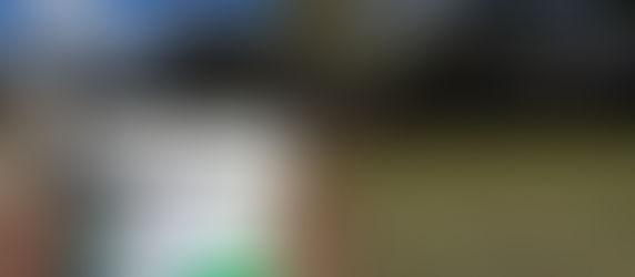 Lawn Renovations: When to Aerate, Scarify, and Topdress for a Healthy Lawn