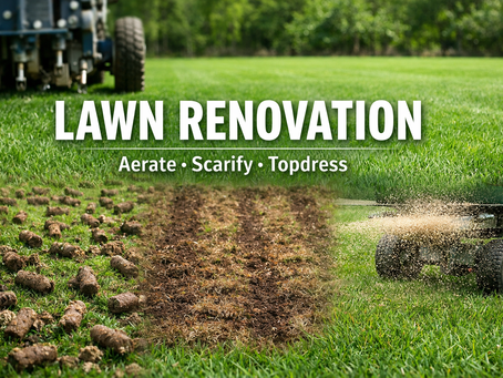 Lawn Renovations: When to Aerate, Scarify, and Topdress for a Healthy Lawn