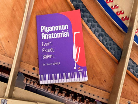Piyanonun Anatomisi