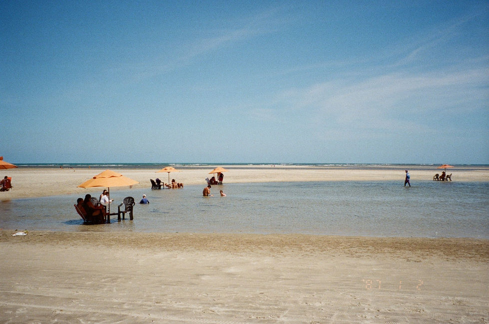 analogicas re_25_29