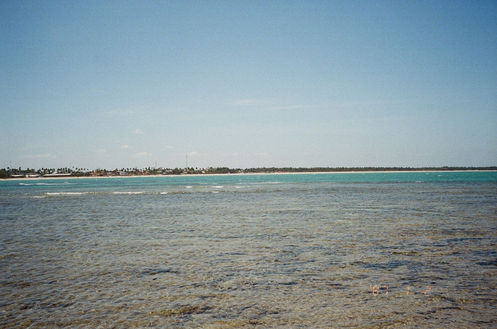 analogicas re_25_3