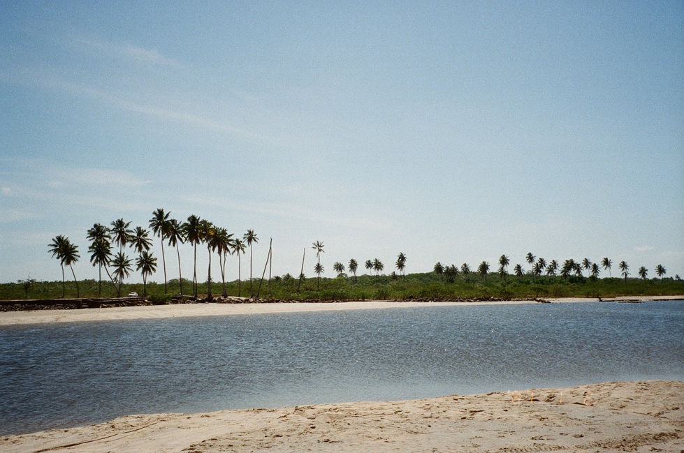 analogicas re_25_2