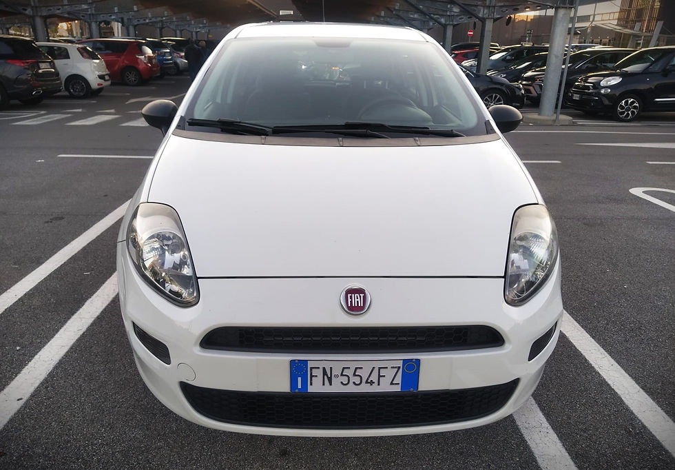 Fiat Punto 1.3 Diesel Multijet 5 porte - OK Neopatentati - 3208511467