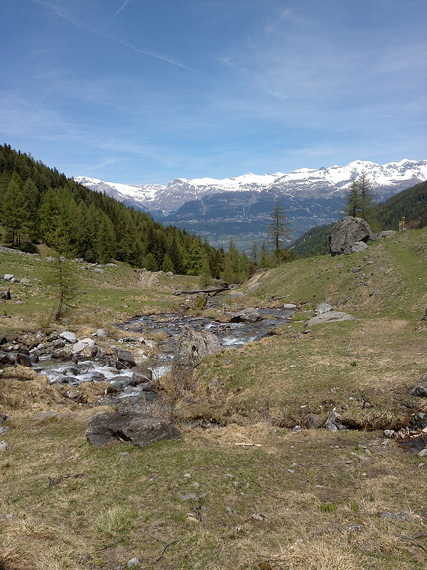Bisse de Vercorin 10.jpg