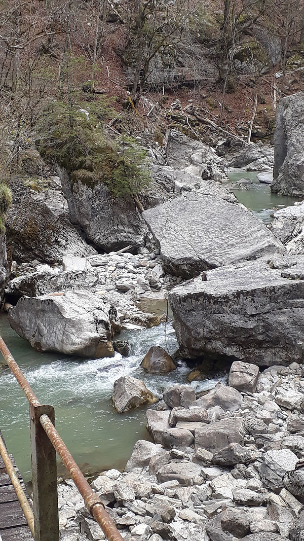 Gorges de la Jogne (12).jpg